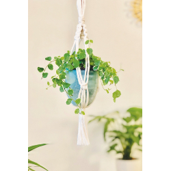 Kit Macramé Mini Suspension