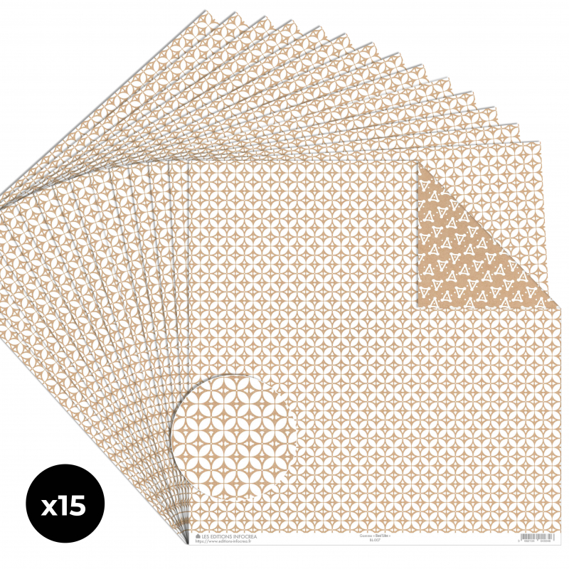 Papier Recto / Verso - 30.5cm x 31.5cm - 250g/M2 - BL-007