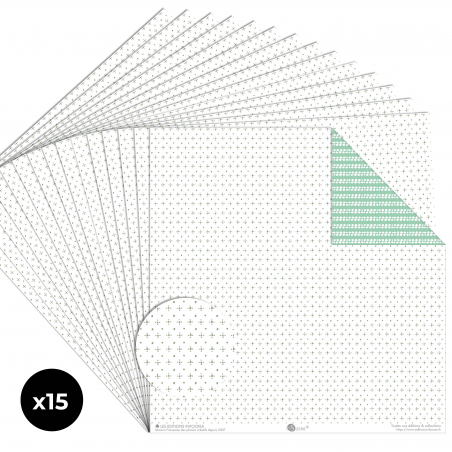 Papier Recto / Verso - 30.5cm x 31.5cm - 250g/M2 - BL-017