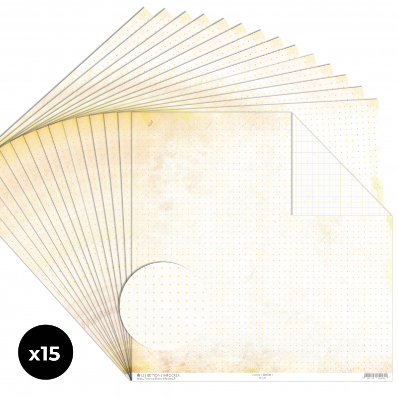 Papier Recto / Verso - 30.5cm x 31.5cm - 250g/M2 - BL-031