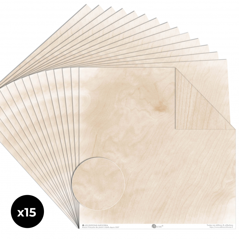 Papier Recto / Verso - 30.5cm x 31.5cm - 250g/M2 - BL-040