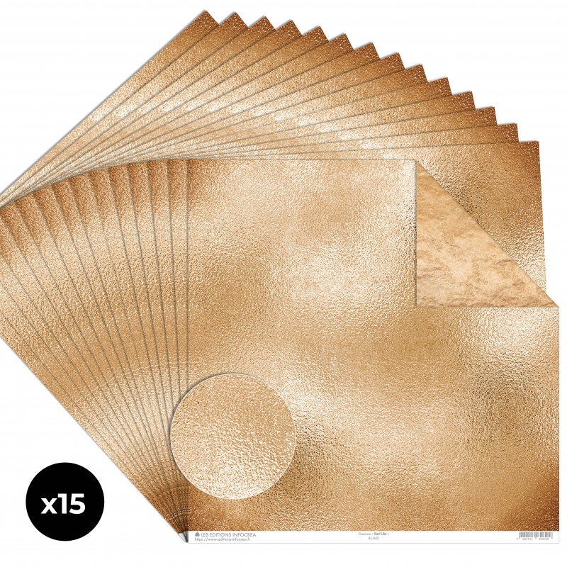 Papier Recto / Verso - 30.5cm x 31.5cm - 250g/M2 - BL-045