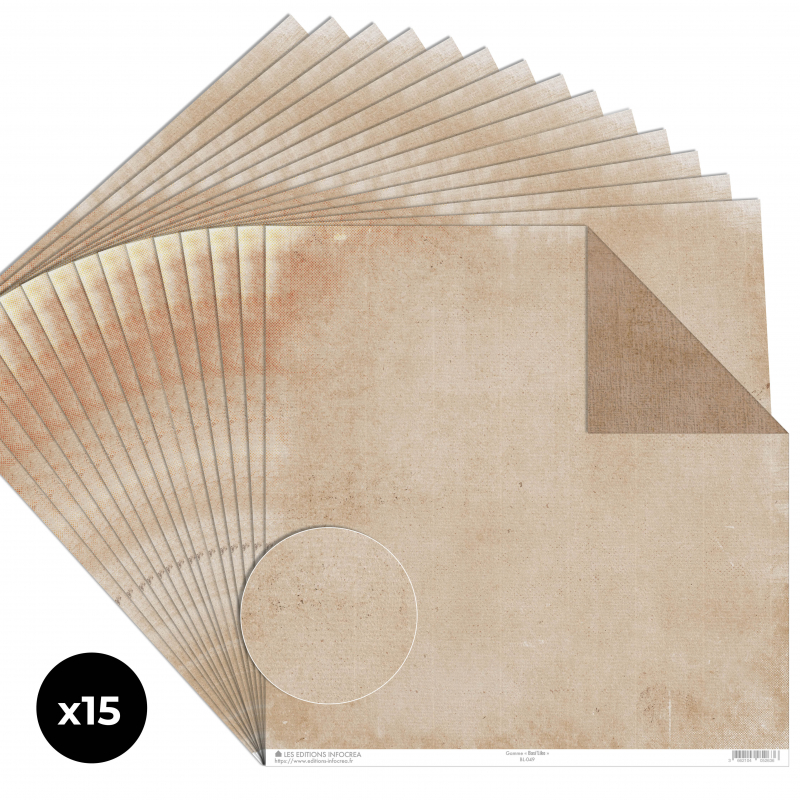 Papier Recto / Verso - 30.5cm x 31.5cm - 250g/M2 - BL-049