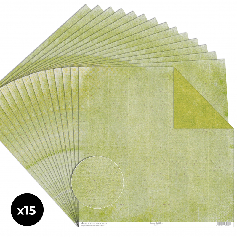 Papier Recto / Verso - 30.5cm x 31.5cm - 250g/M2 - BL-050