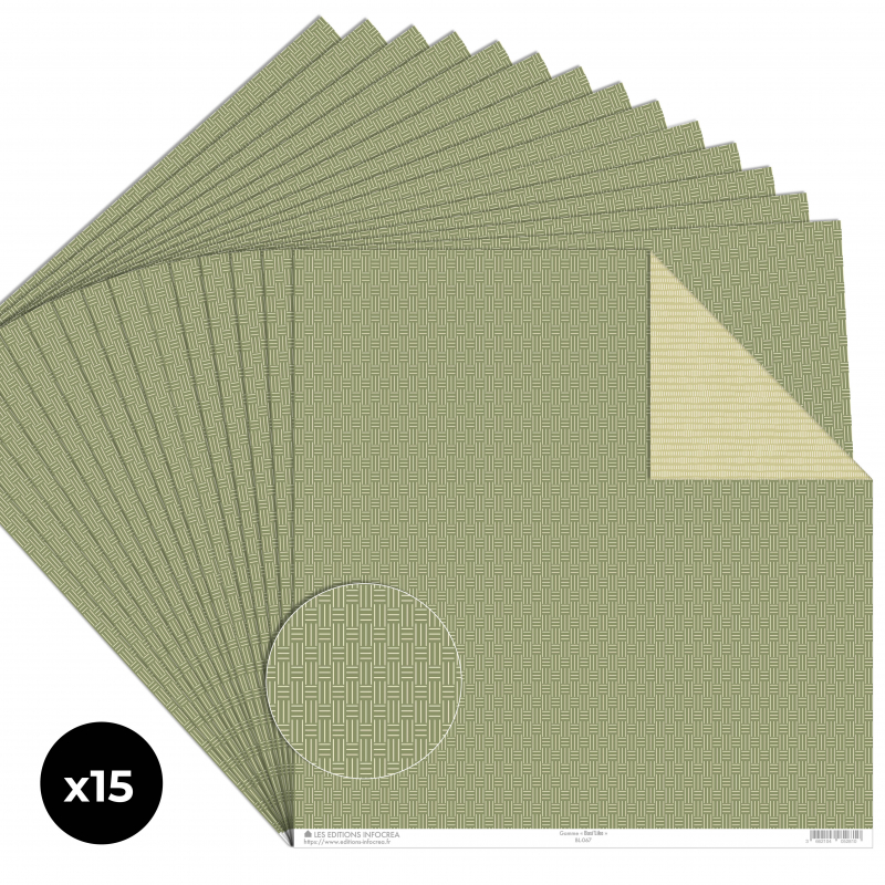 Papier Recto / Verso - 30.5cm x 31.5cm - 250g/M2 - BL-067