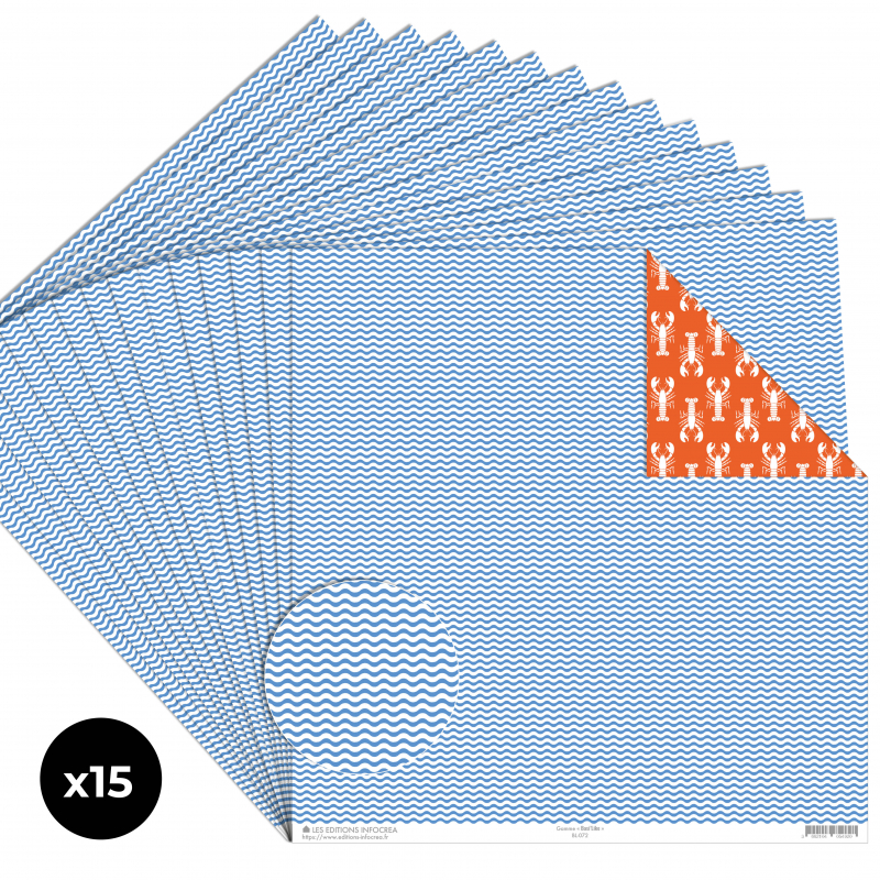 Papier Recto / Verso - 30.5cm x 31.5cm - 250g/M2 - BL-077