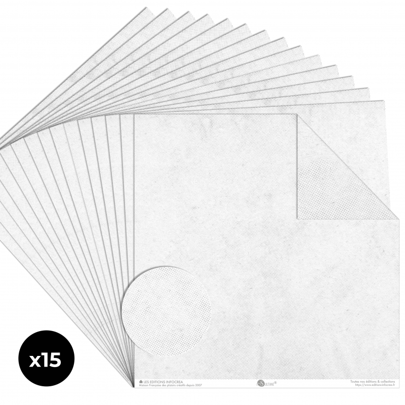 Papier Recto / Verso - 30.5cm x 31.5cm - 250g/M2 - BL-103