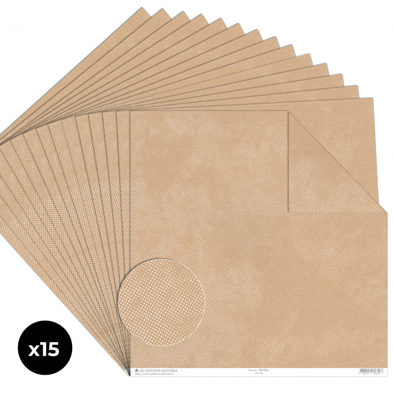 Papier Recto / Verso - 30.5cm x 31.5cm - 250g/M2 - BL-106