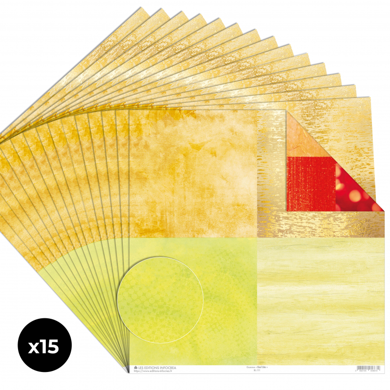 Papier Recto / Verso - 30.5cm x 31.5cm - 250g/M2 - BL-111