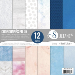 Set de 12 papeles Sultane doble cara 30,5x30,5 cm - 250 g/m2 - Coord